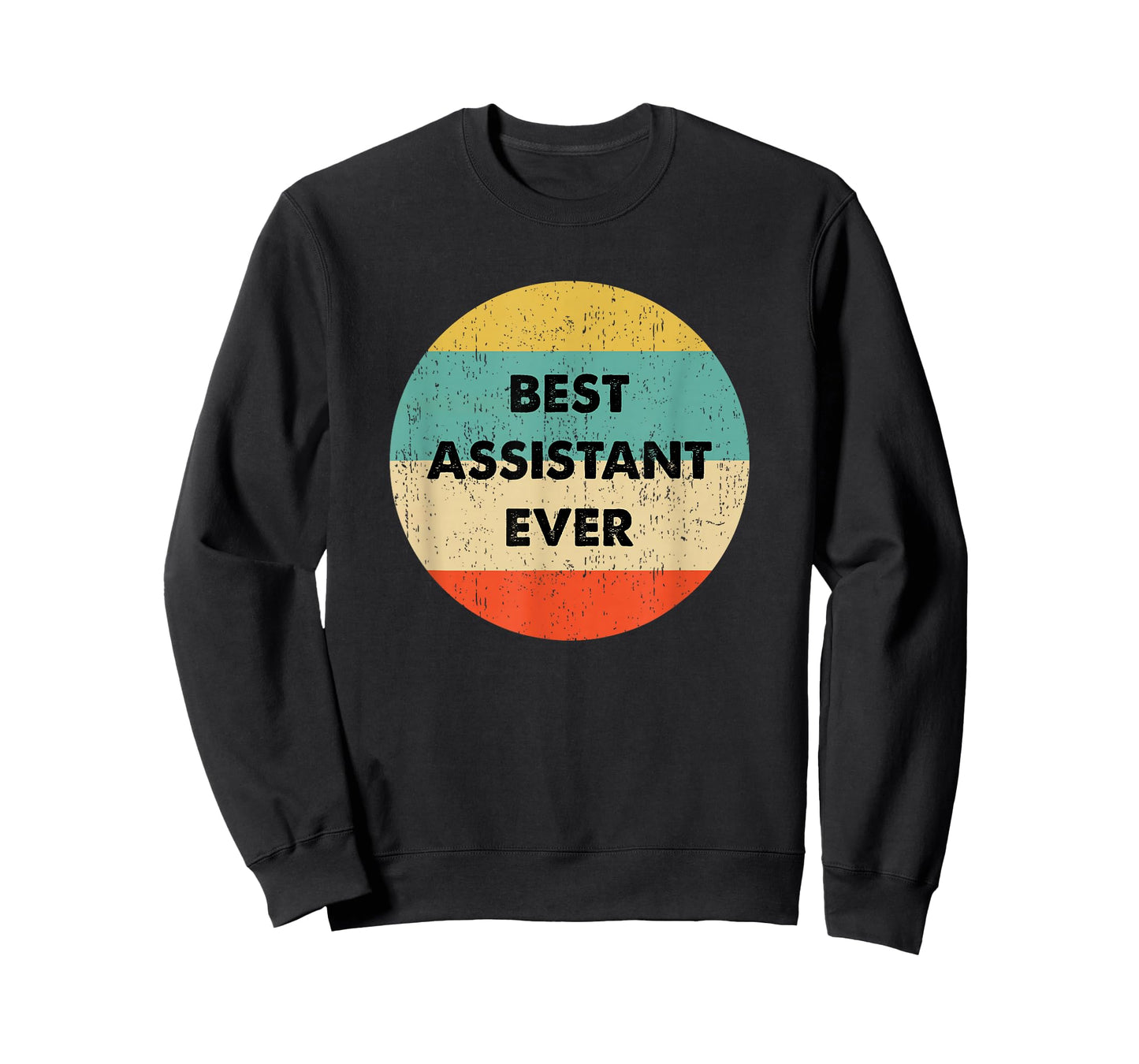 Assistant Shirt | Best Assistant Ever T-Shirt