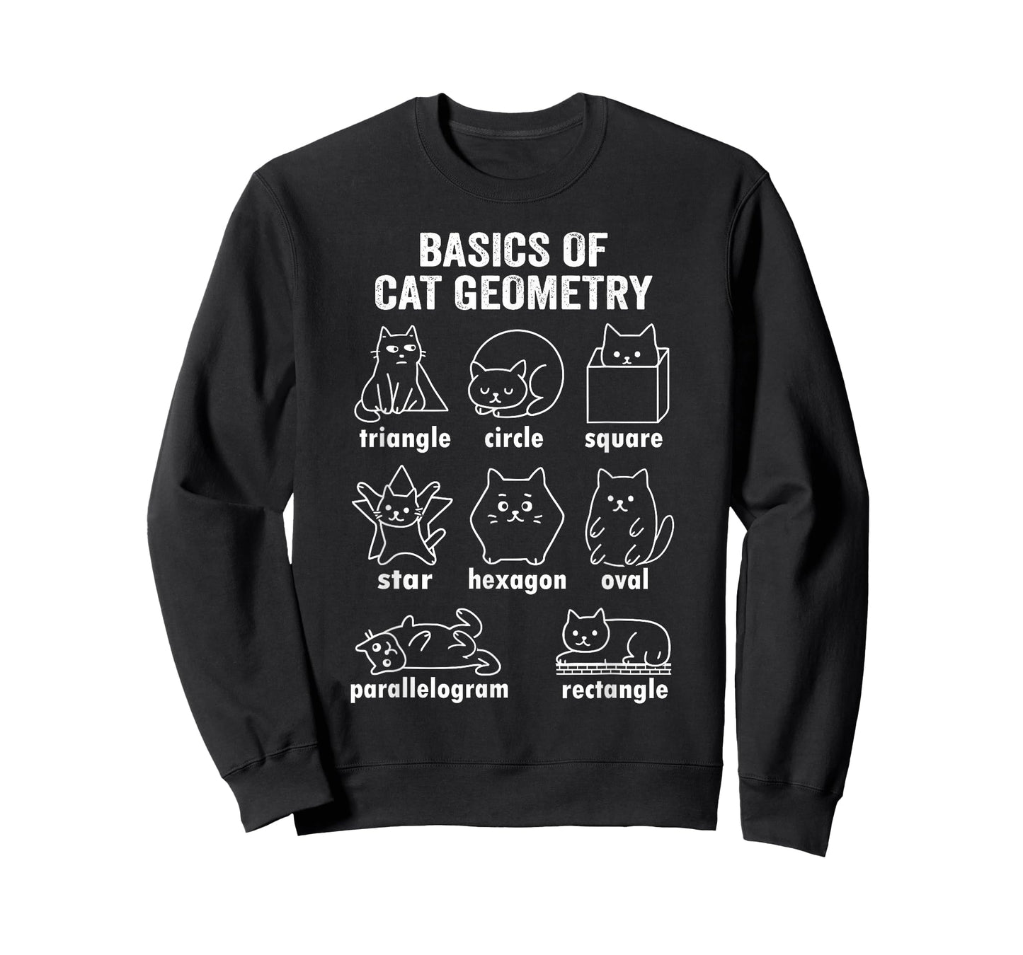 Funny Basics of Cat Geometry Back To School Math Teacher T-Shirt