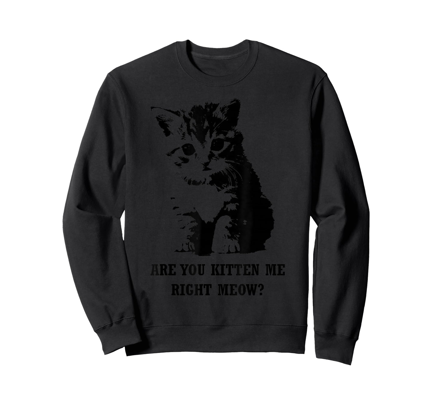 Are You Kitten Me Right Meow T-shirt T-Shirt