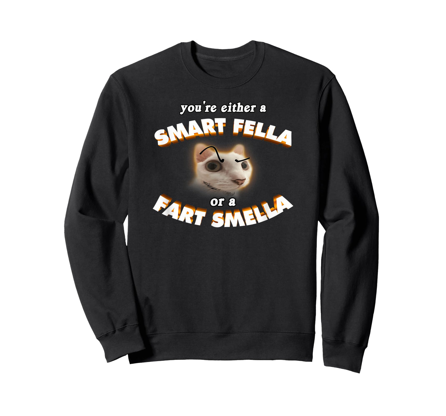 You're Either A Smart Fella Or A Fart Smella Funny Cat Meme T-Shirt