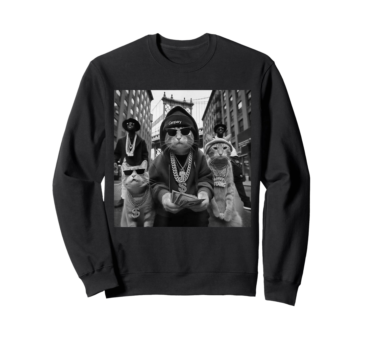 Funny Cat Streetcore T-Shirt