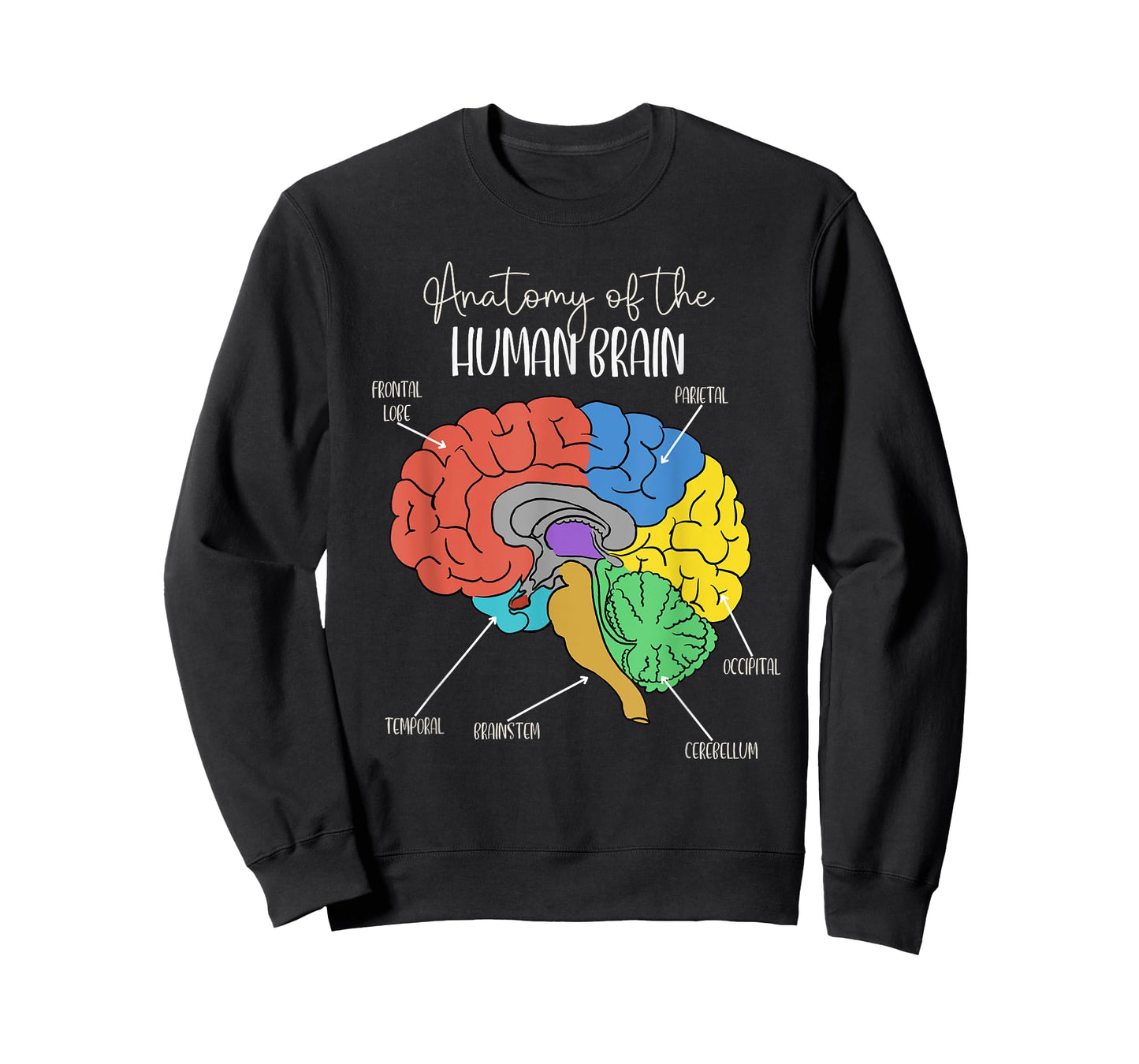 Anatomy of the Human Brain Diagram Neurology Colorful Brain T-Shirt