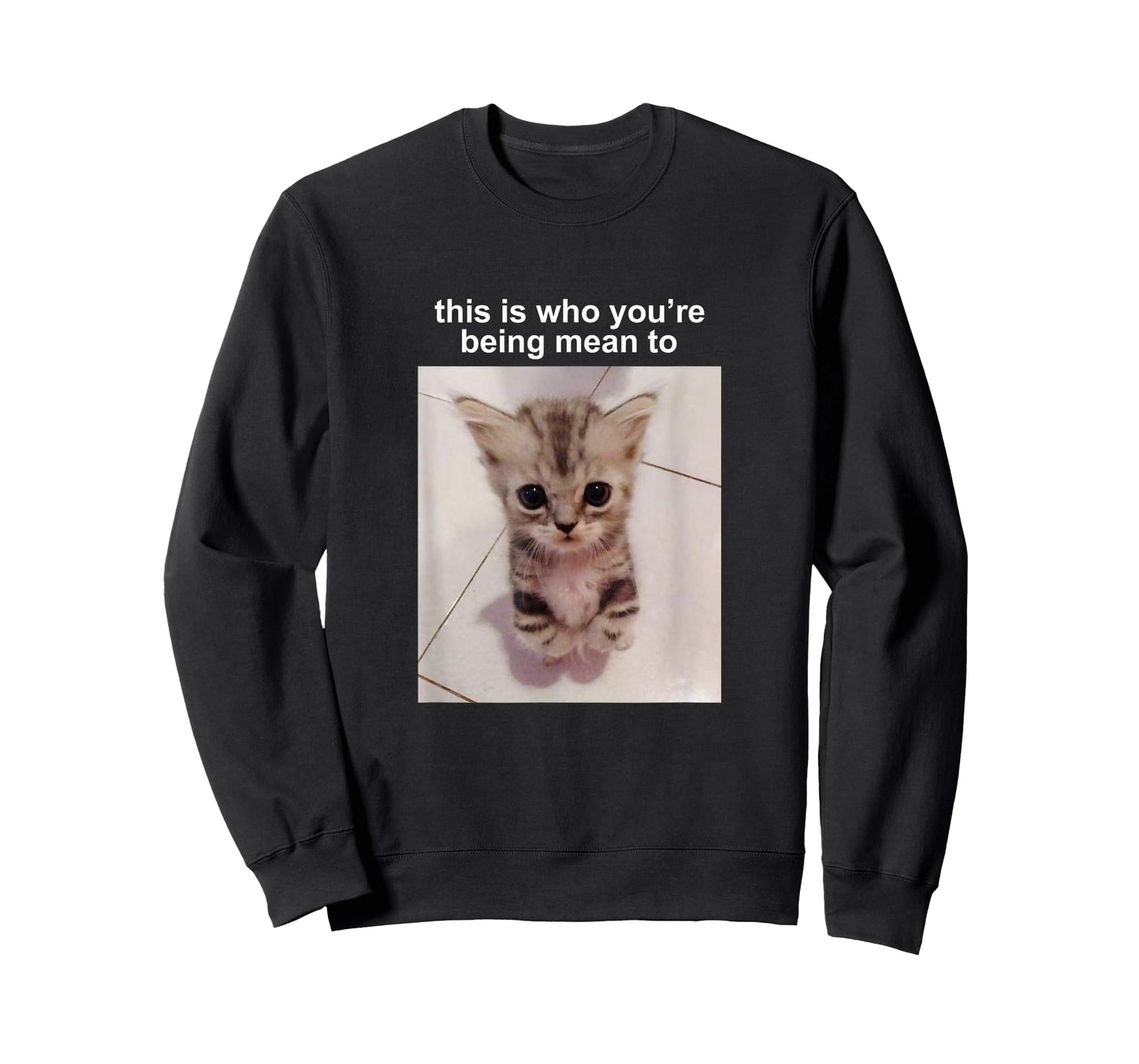 This is Who You're Being Mean to Silly Cat Meme T-Shirt