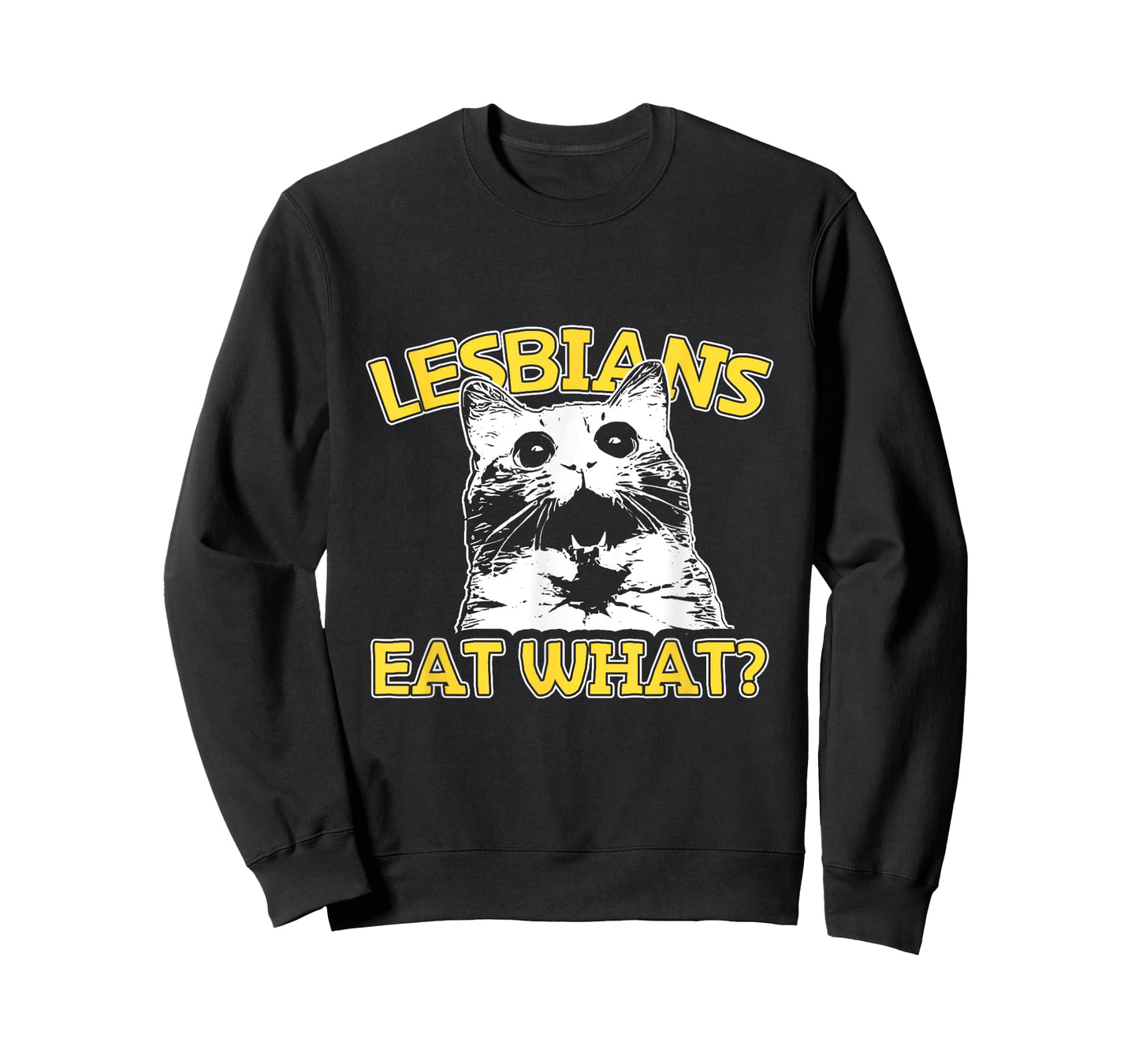 Funny Cat Lovers Lesbians Eat What? Gay Women's T-Shirt