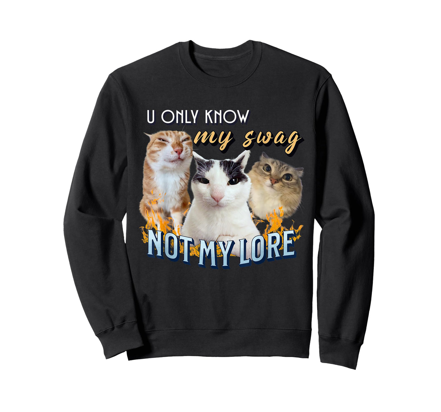 You Only Know My Swag Not Lore Funny Derpy Cat Meme Y2K T-Shirt for Men Women Kids