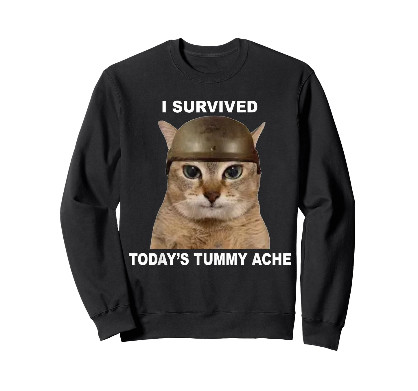I Survived Today's Tummy Ache Funny Cat T-Shirt