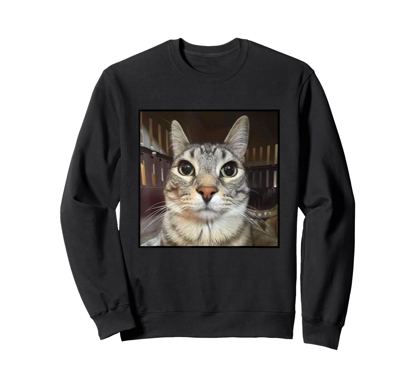 Silly Staring Cat Meme T-Shirt