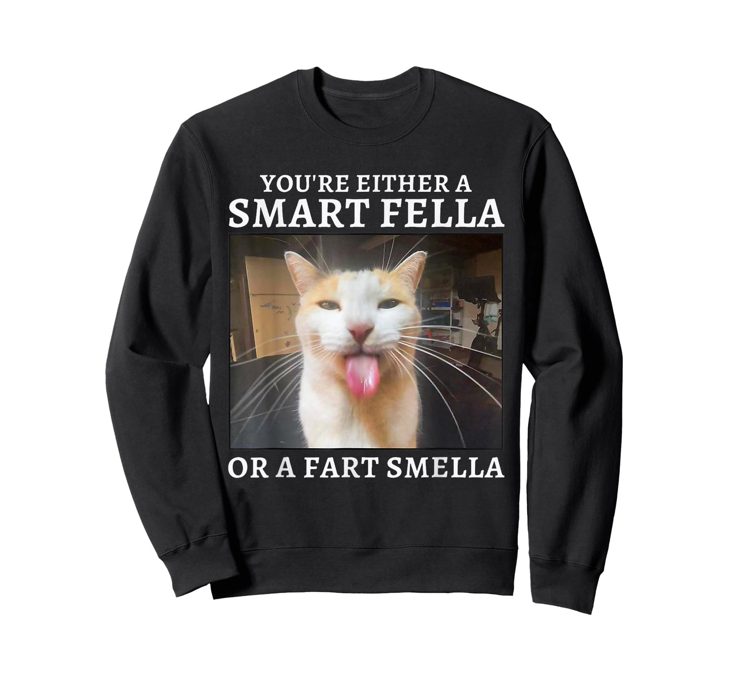You're Either a Smart Fella or a Fart Smella Funny Cat Meme T-Shirt