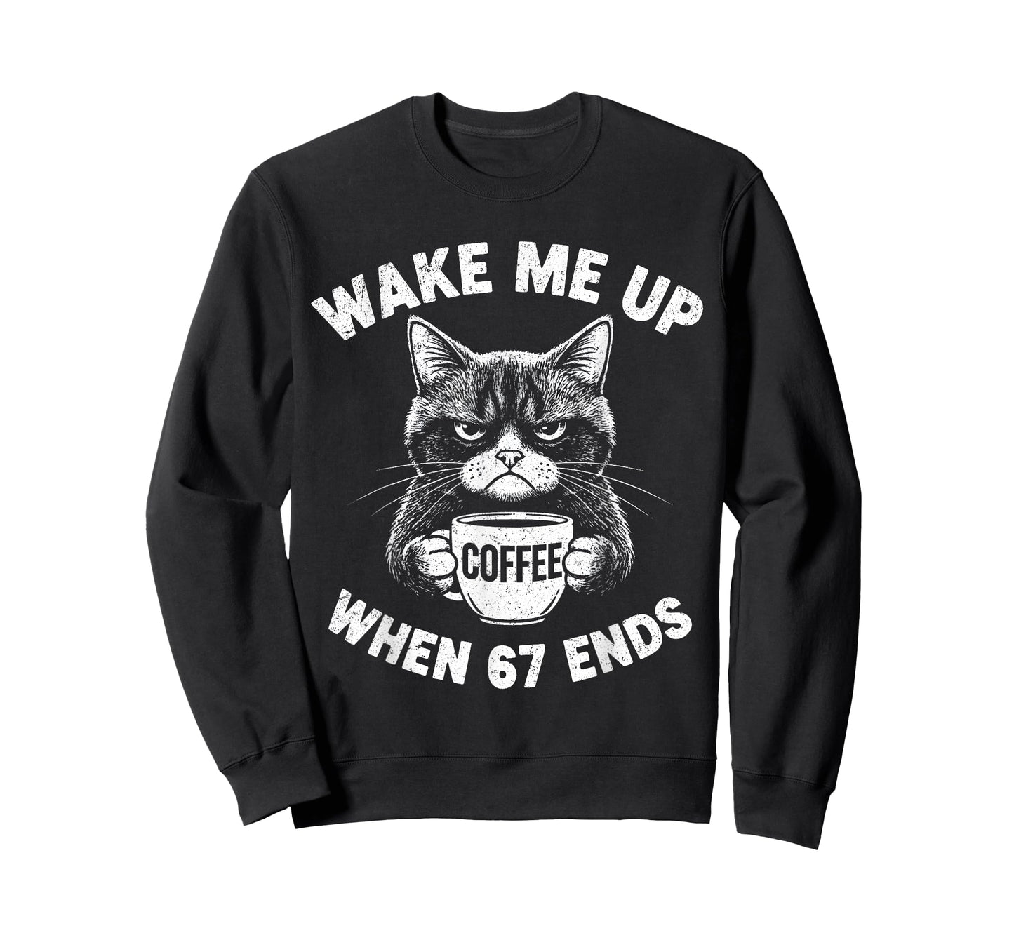 Wake Me 67 Ends Anti Six Seven Cat Brainrot Teacher T-Shirt
