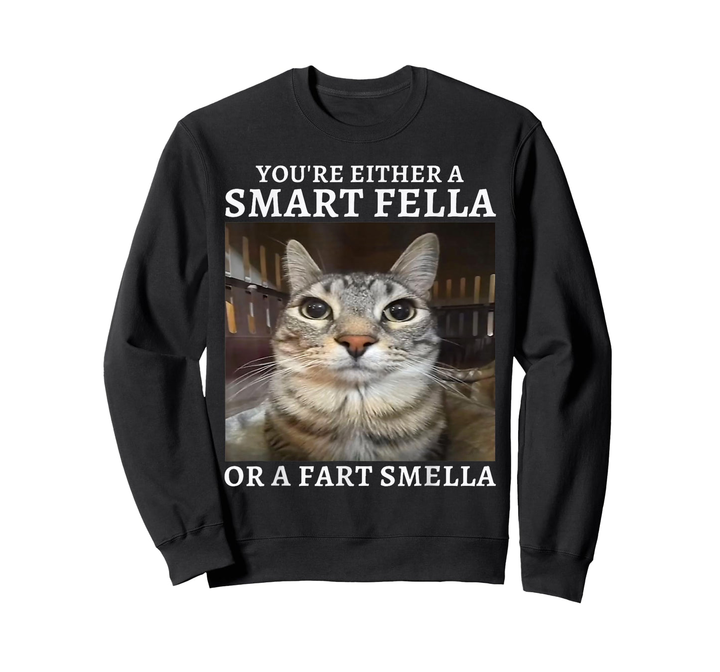 You're Either a Smart Fella or a Fart Smella Funny Cat Meme T-Shirt