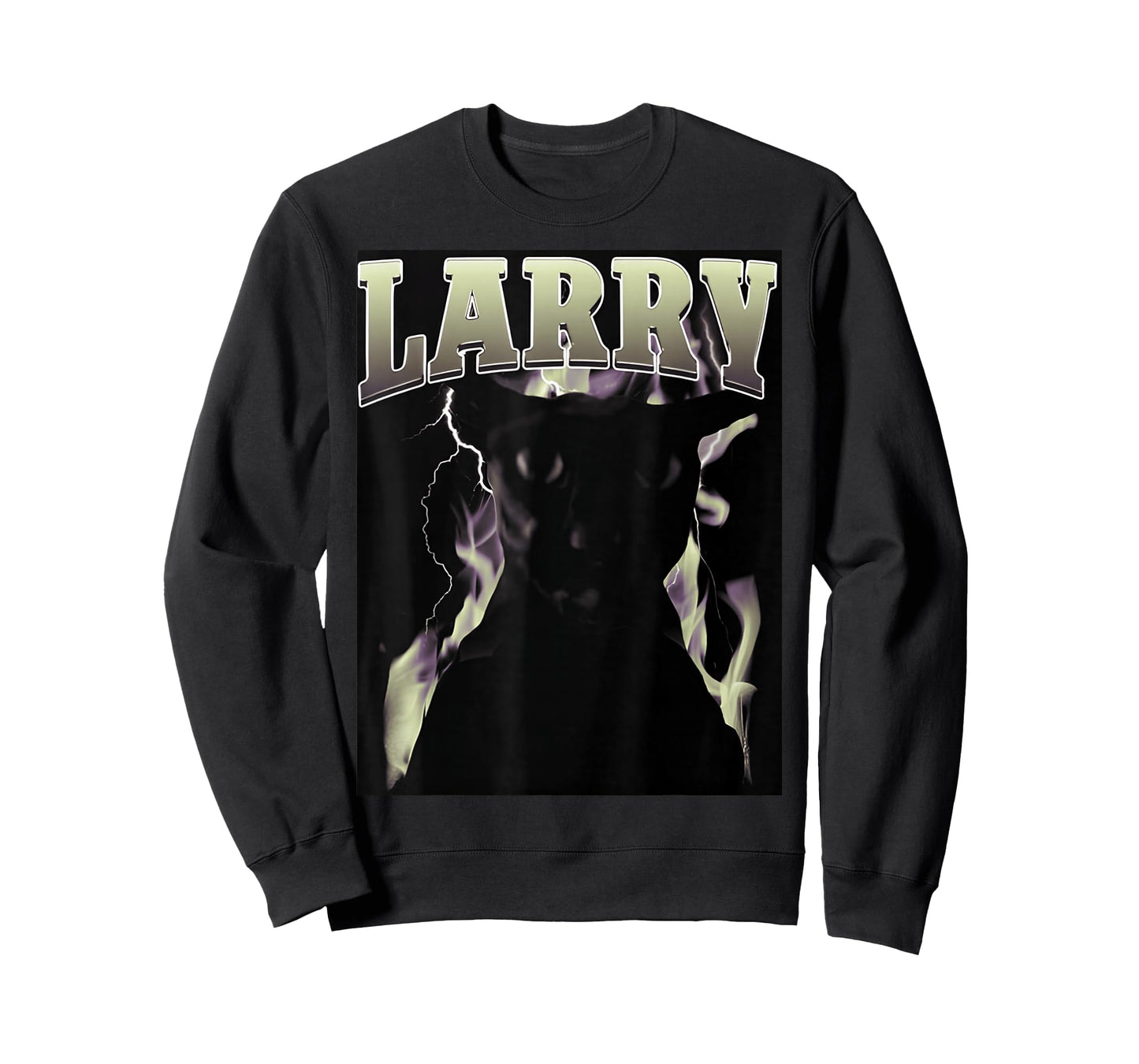 Larry Cat Funny Cute Silly Cats T-Shirt