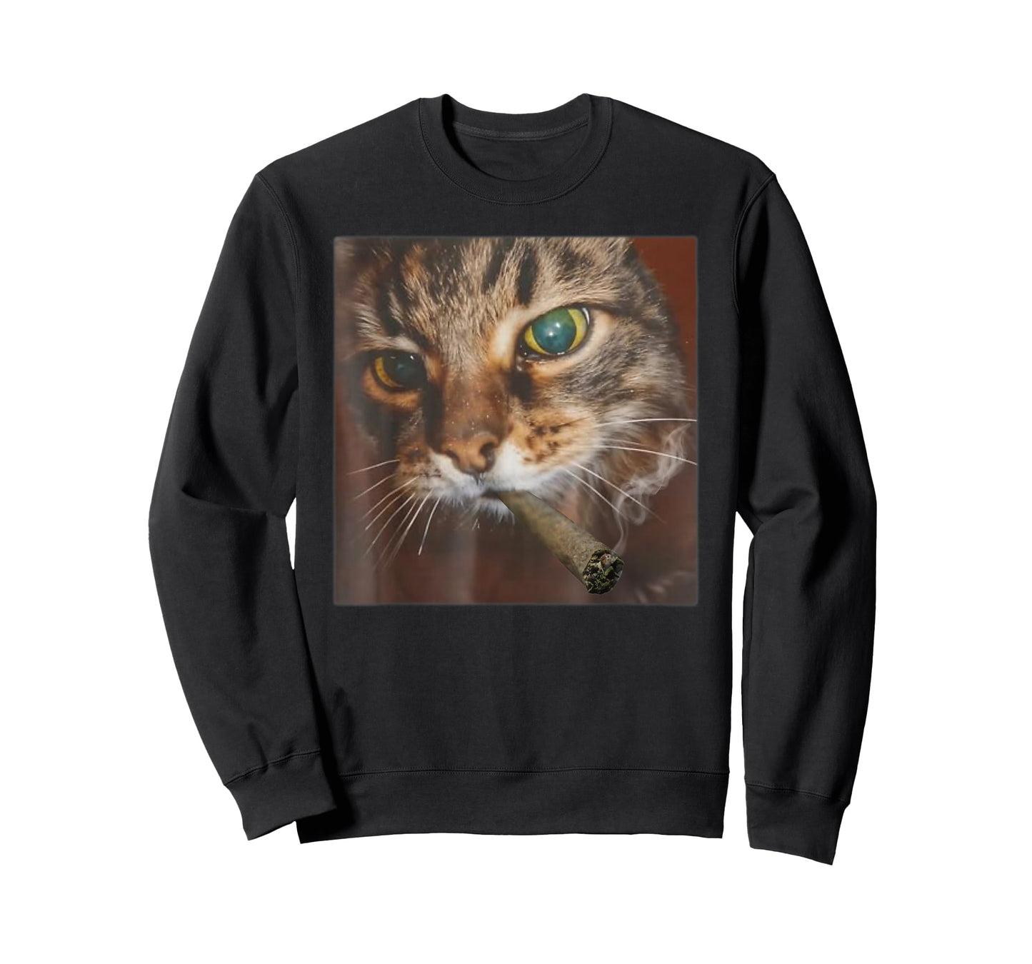 Funny Graphic Art Animal Lover Adult Cat Smoking Blunt Weed T-Shirt