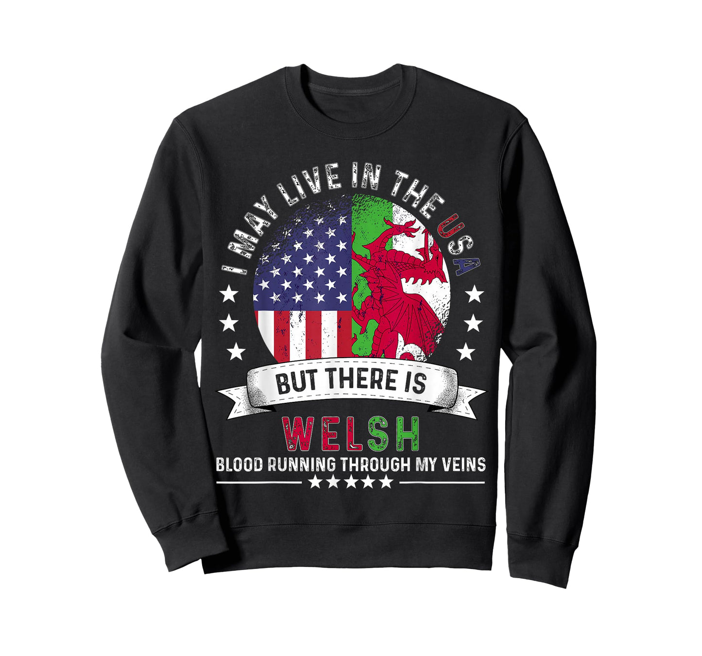 American Welsh Home in US Patriot American Wales Flag T-Shirt