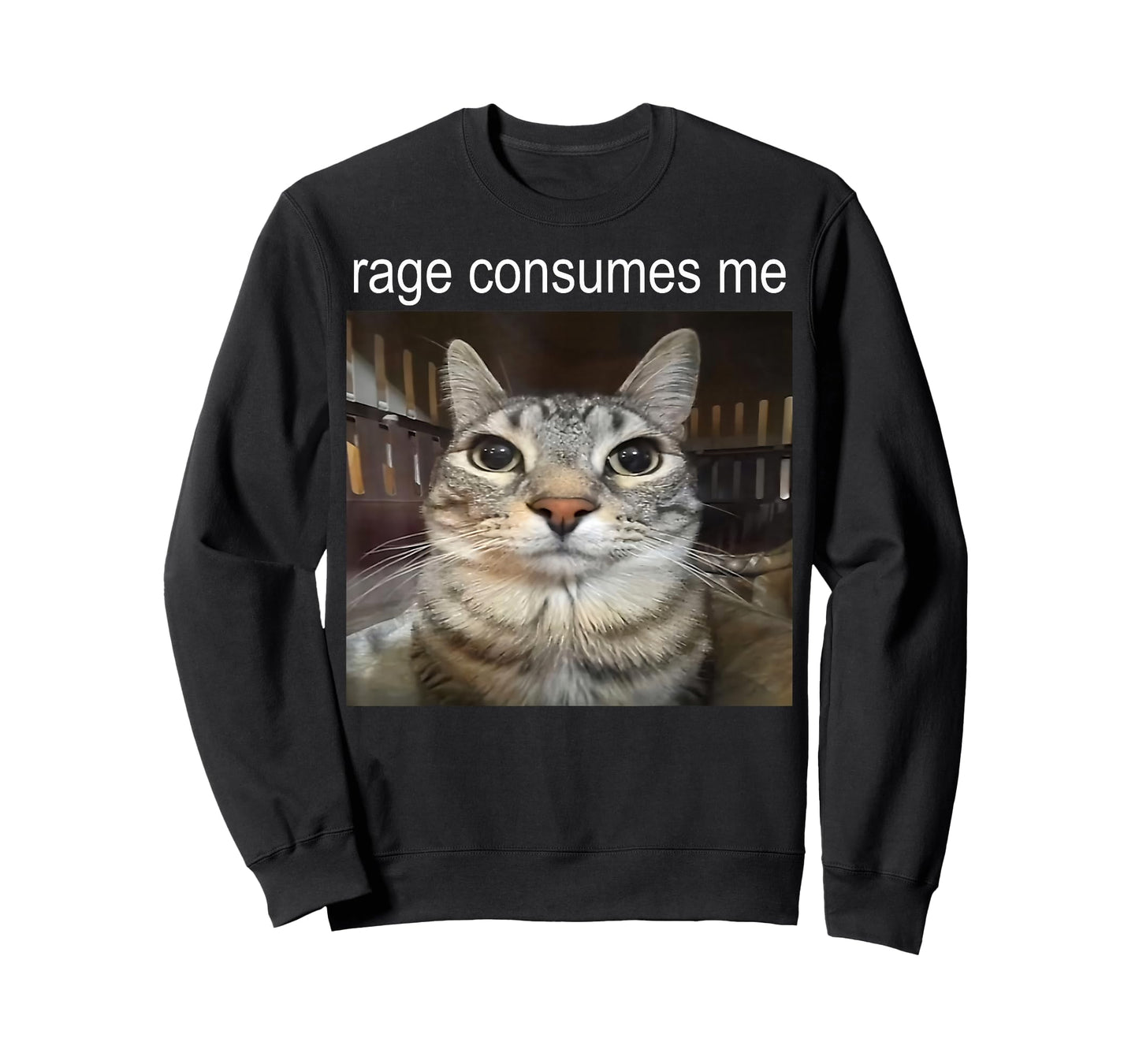 Funny Cat Meme Quote Retro Cat Lover Rage Consumes Me T-Shirt