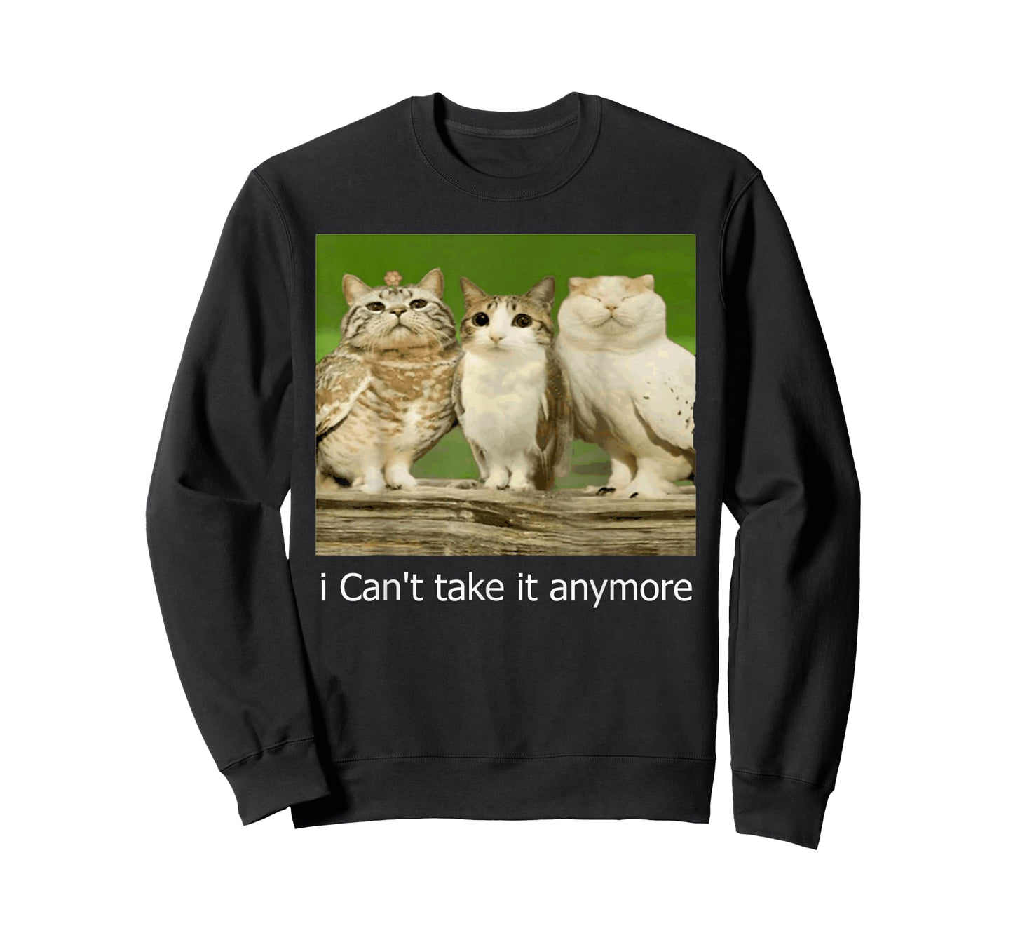 Cat Owl Funny Meowl Cursed Internet Trendy T-Shirt