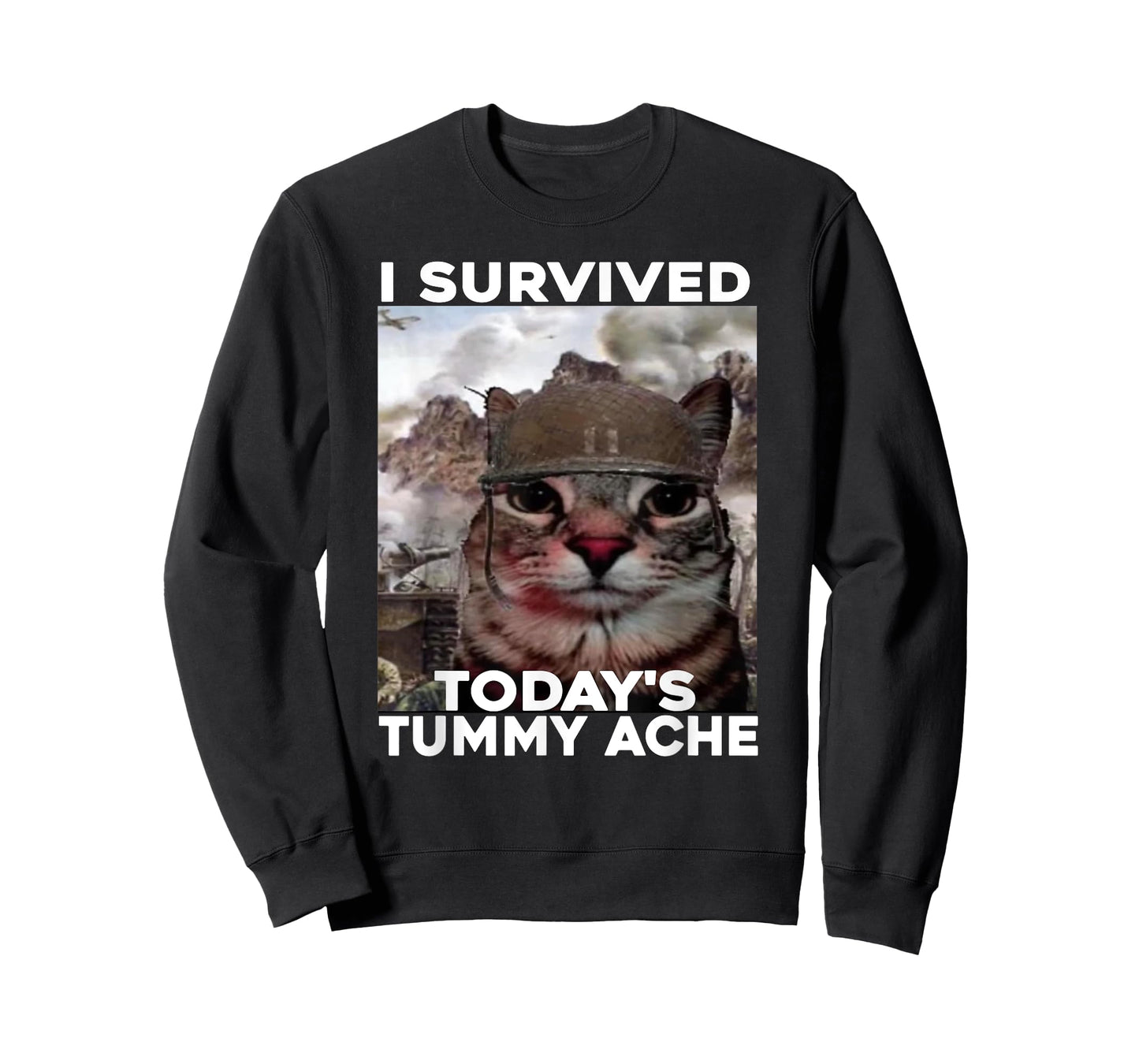 I Survived Today's Tummy Ache cat T-Shirt