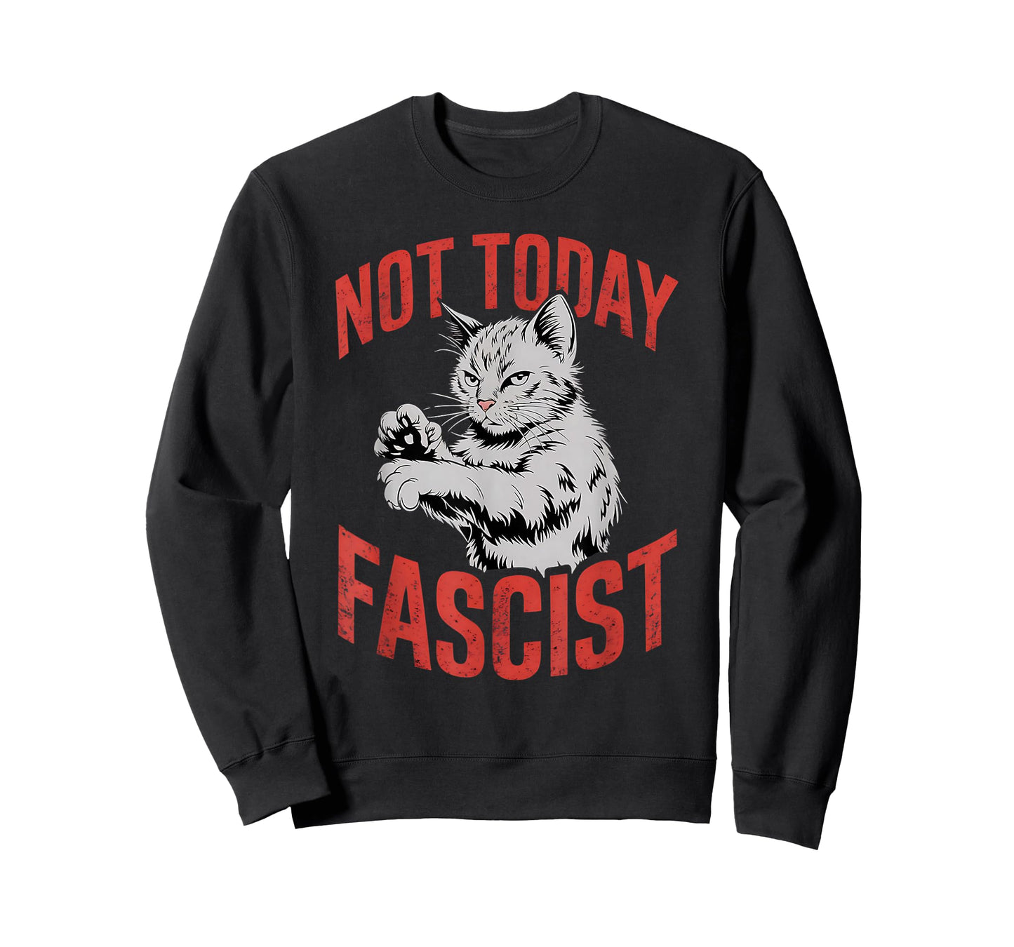 Not Today Fascist Funny Meme Fascism Women Men T-Shirt