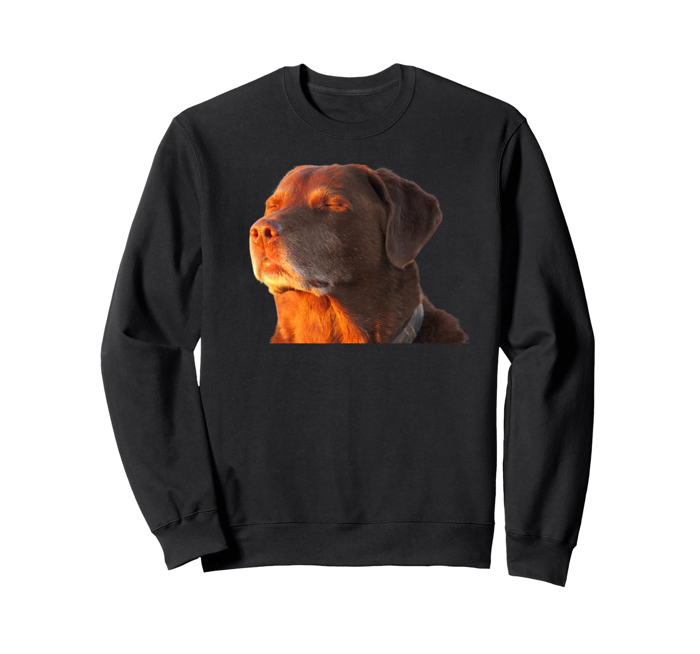Cooked Dog Accepting Fate Closing His Eyes Funny Dog Meme T-Shirt