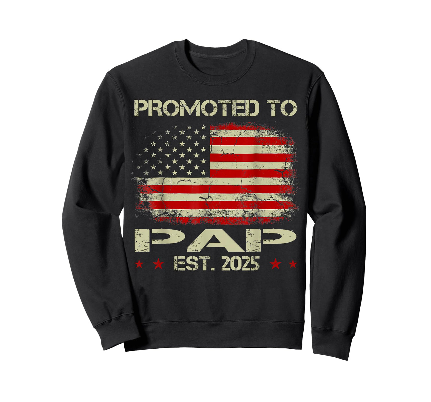Promoted To Pap Est 2025 American Flag New Pap T-Shirt