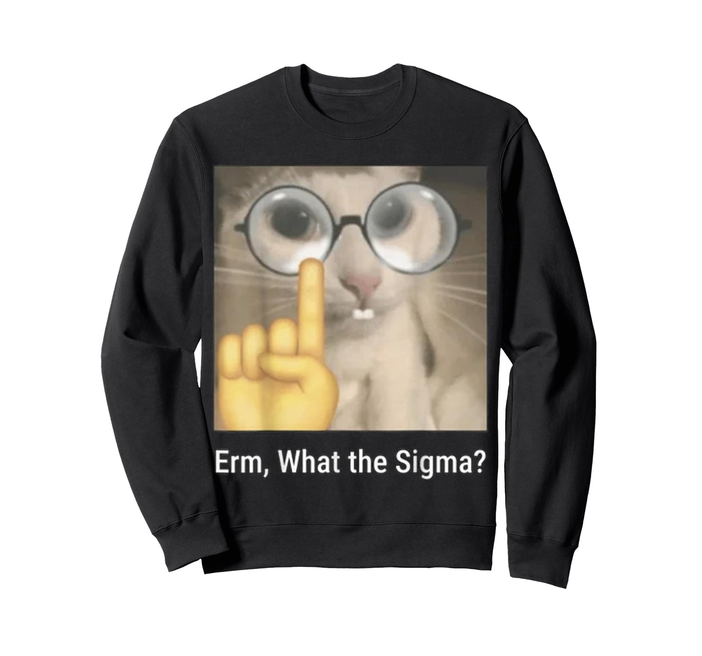 Cat Funny Erm, What The Sigma? Cat Meme Funny T-Shirt