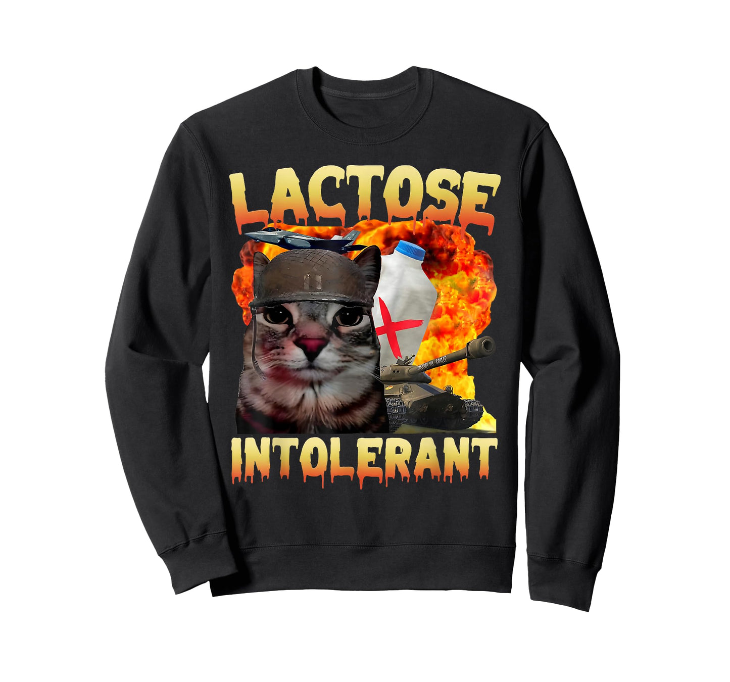 Lactose Intolerant Silly Cat Meme Funny Saying Cat Lover T-Shirt