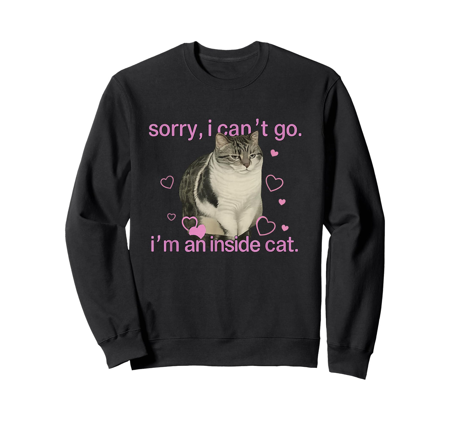 Sorry I can’t go I’m an Inside cat T-Shirt