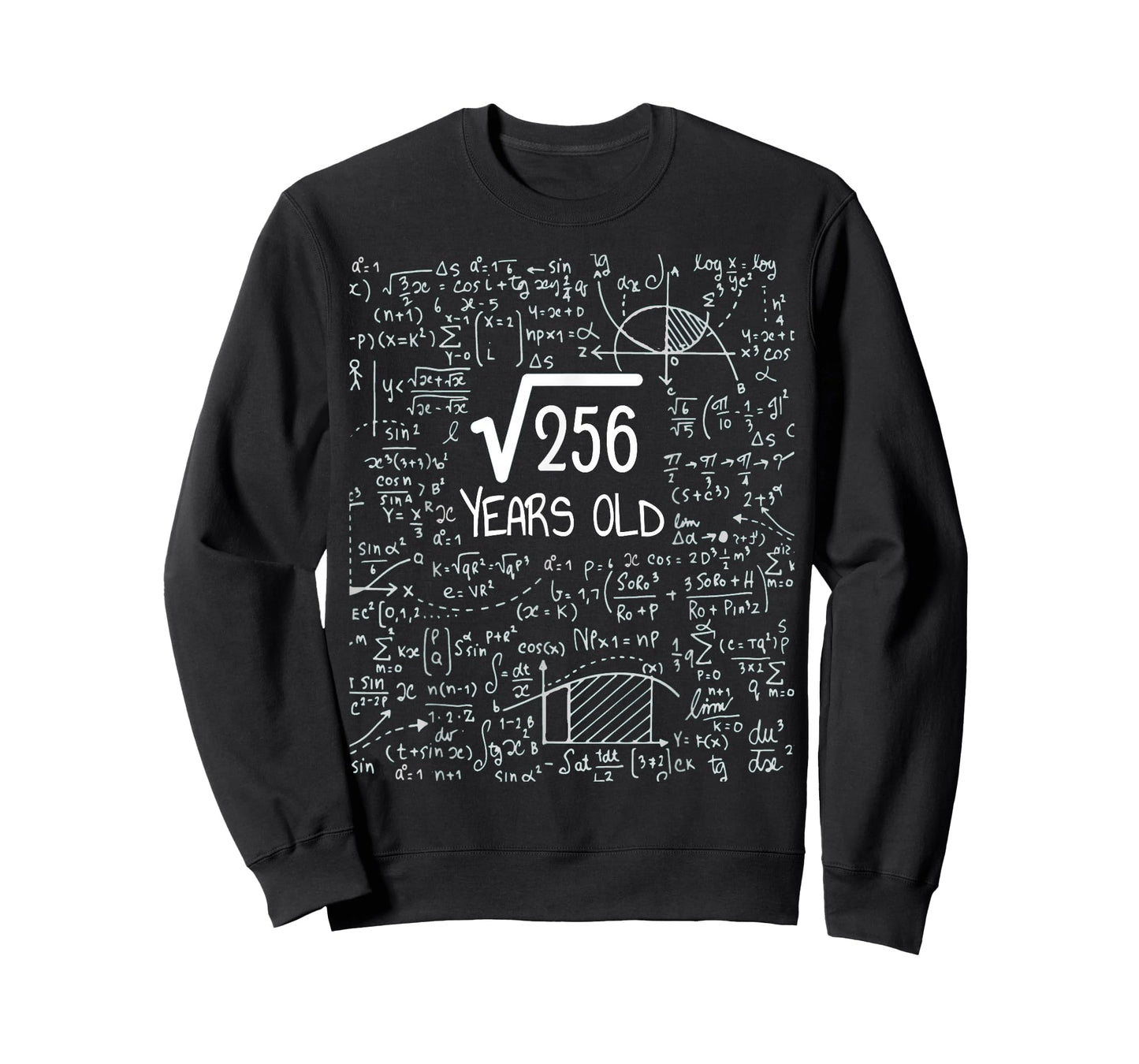 16th Birthday Square Root of 256: 16 Years Old T-Shirt