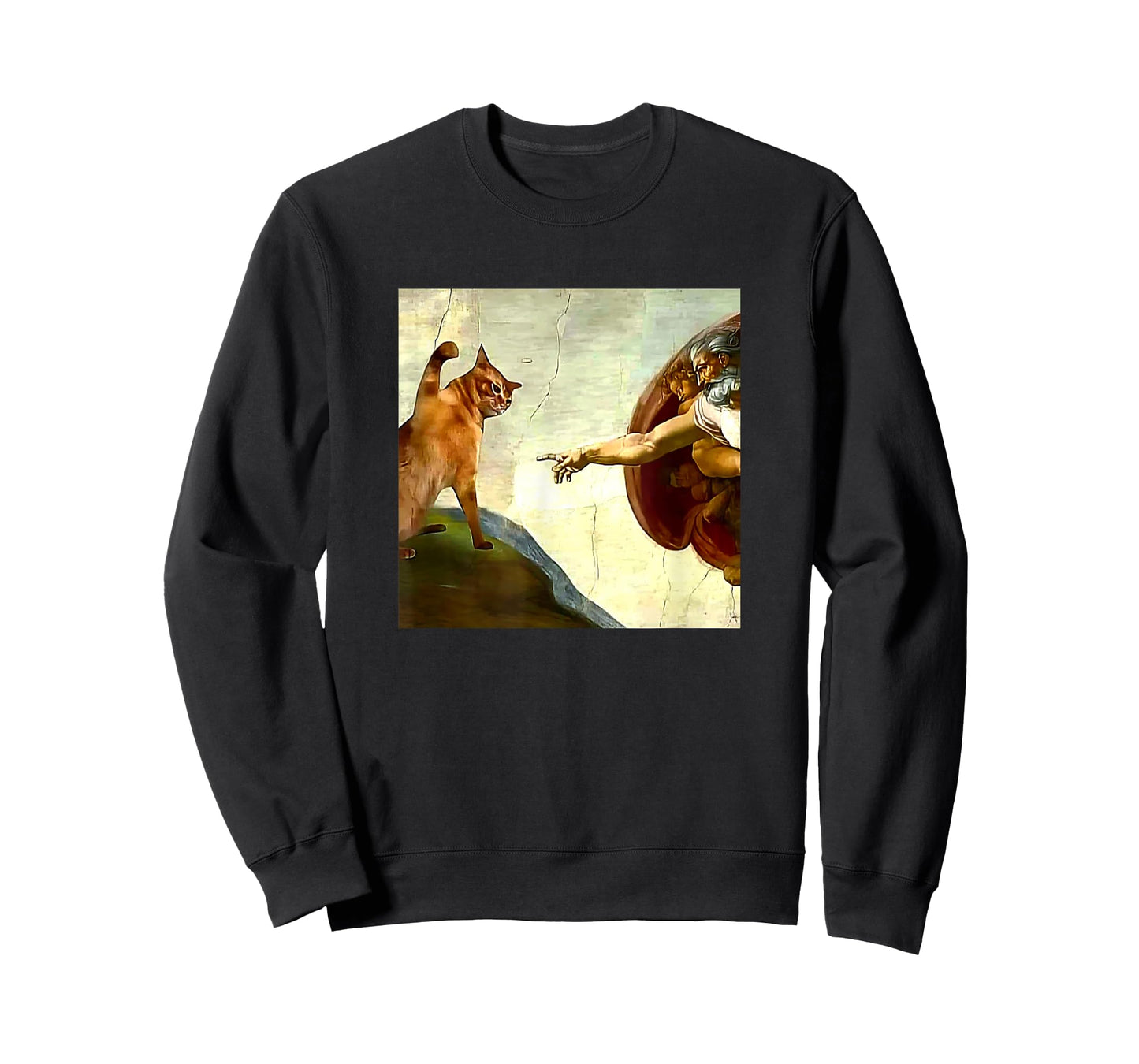 Funny Cat God Creation of Adam Meme Jesus Christian T-Shirt