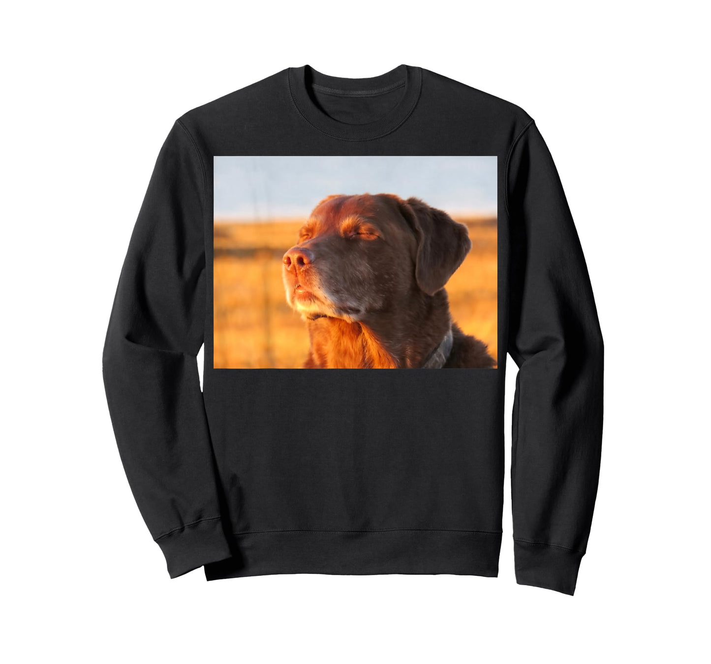 Cooked Dog Meme T-Shirt