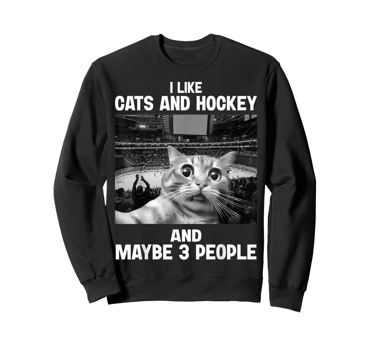 I Like Cats and Hockey Maybe 3 People Funny Meme Gift T-Shirt
