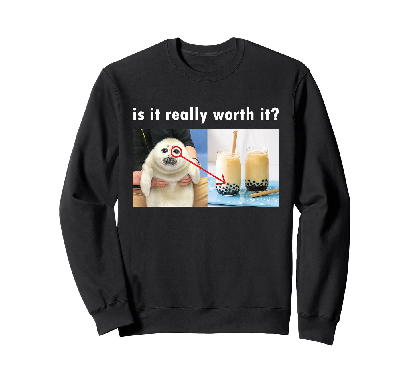 is It Really Worth It Silly Seal Meme T-Shirt