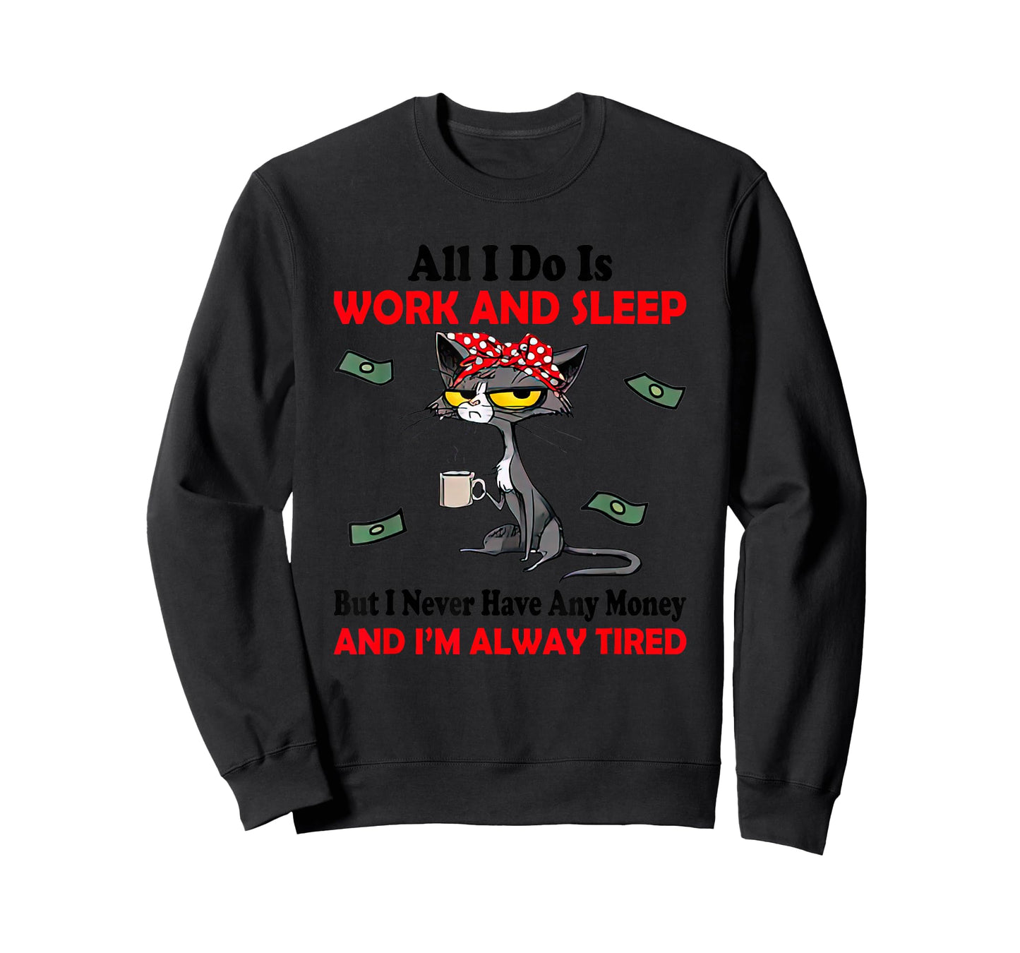 Black Cat All I Do Is Work & Sleep I Never Have Any Money T-Shirt