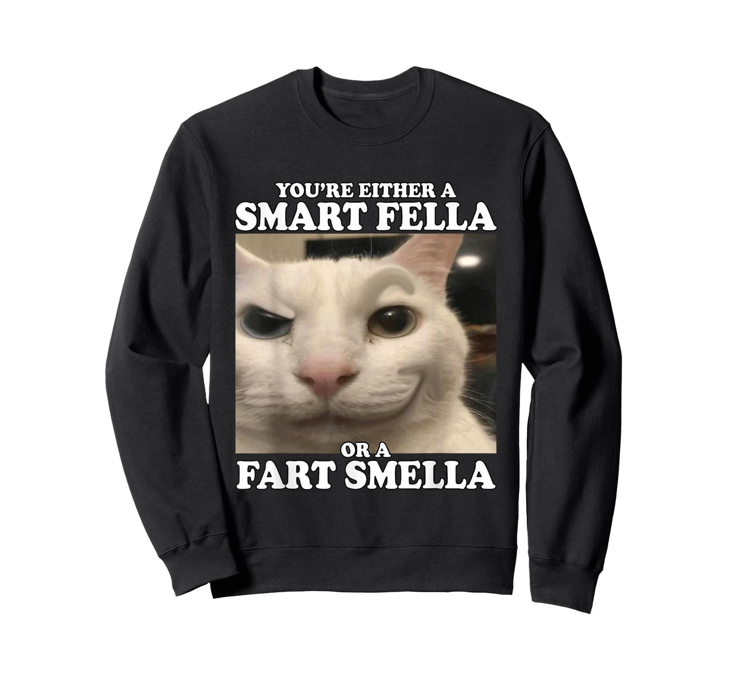 You're Either A Smart Fella Or A Fart Smella Funny Cat Meme T-Shirt