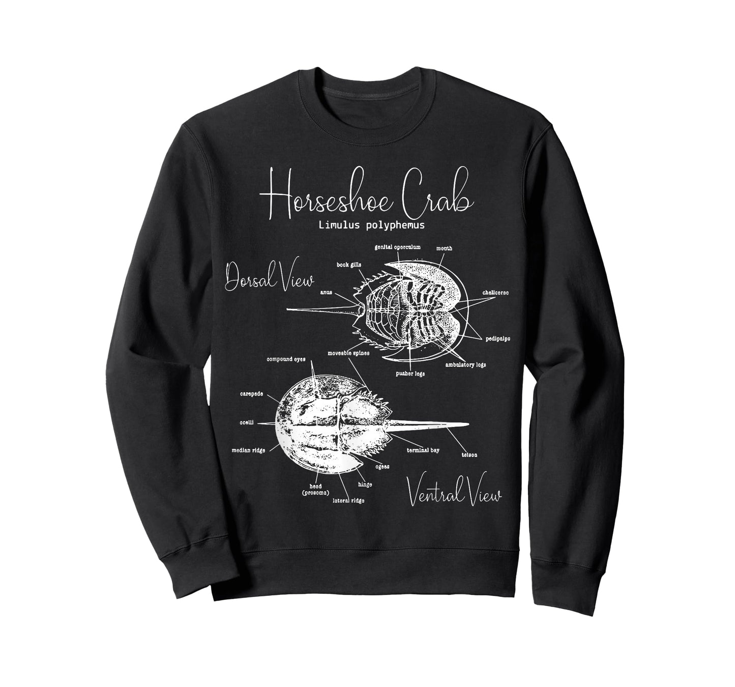 Atlantic Horseshoe Crab Anatomy Marine Biology Ocean Animal T-Shirt