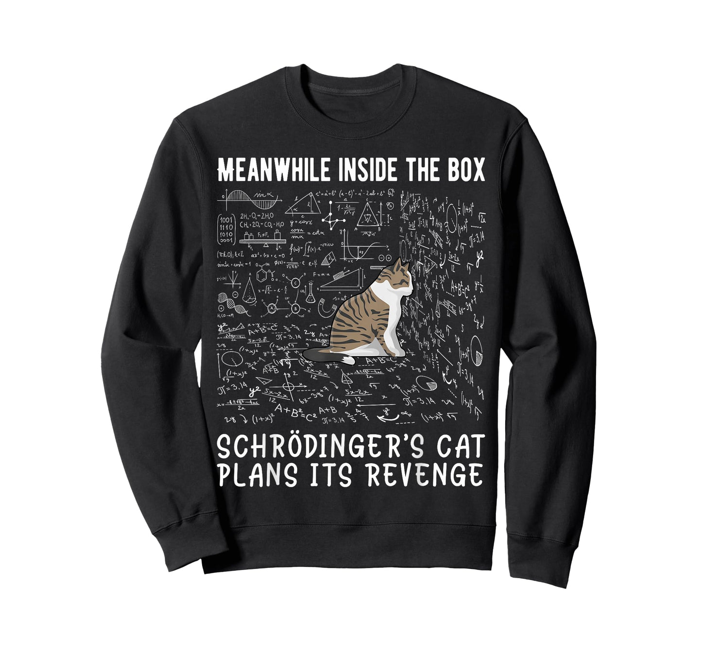 Meanwhile Inside The Box Schrödingers cat Plans its Revenge T-Shirt
