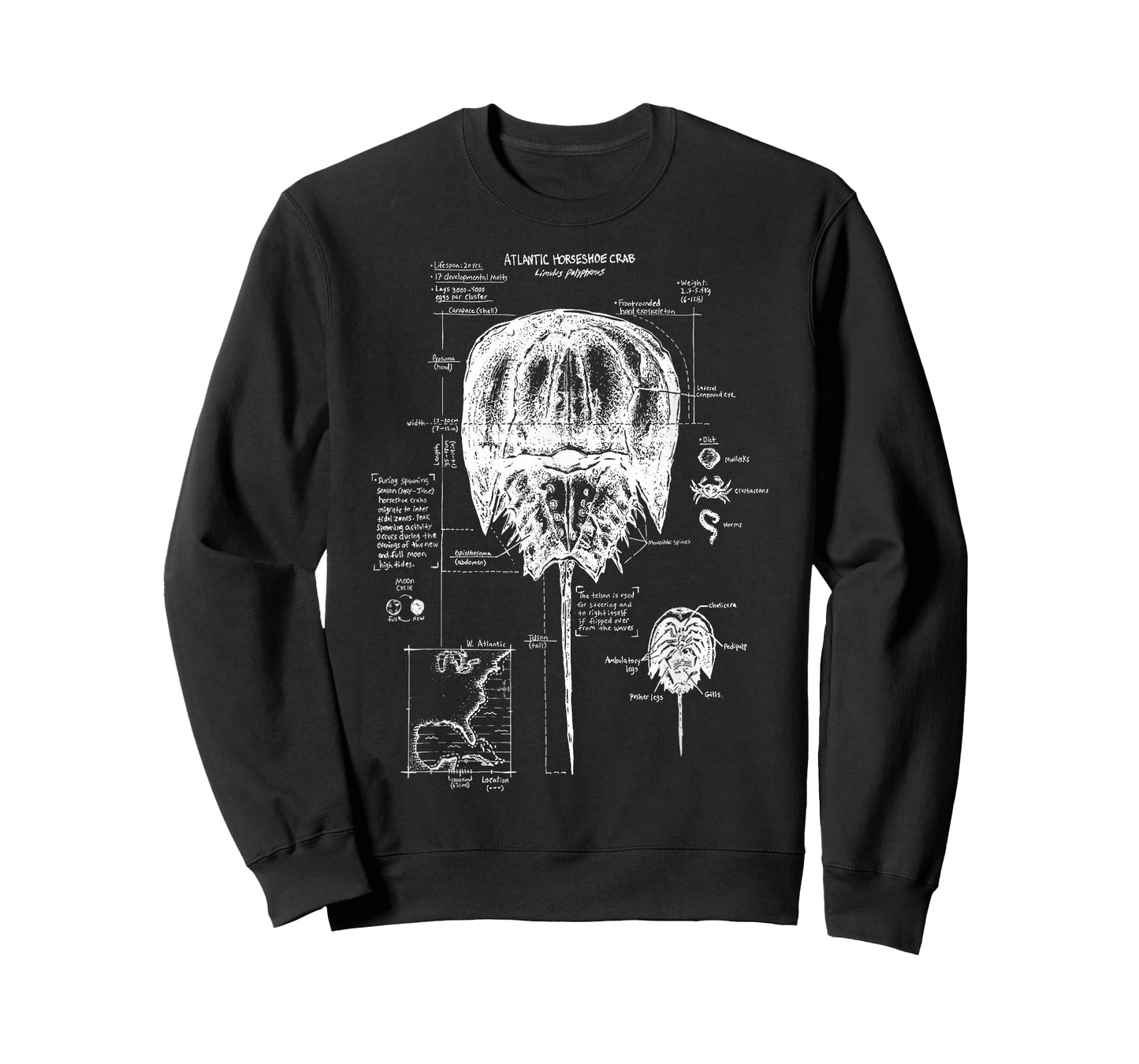 Atlantic Horseshoe Crab Anatomy Marine Biology Ocean Animal T-Shirt