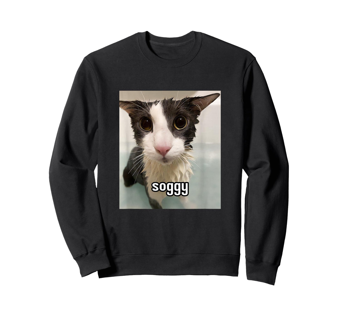 Silly Soggy Cat Meme T-Shirt