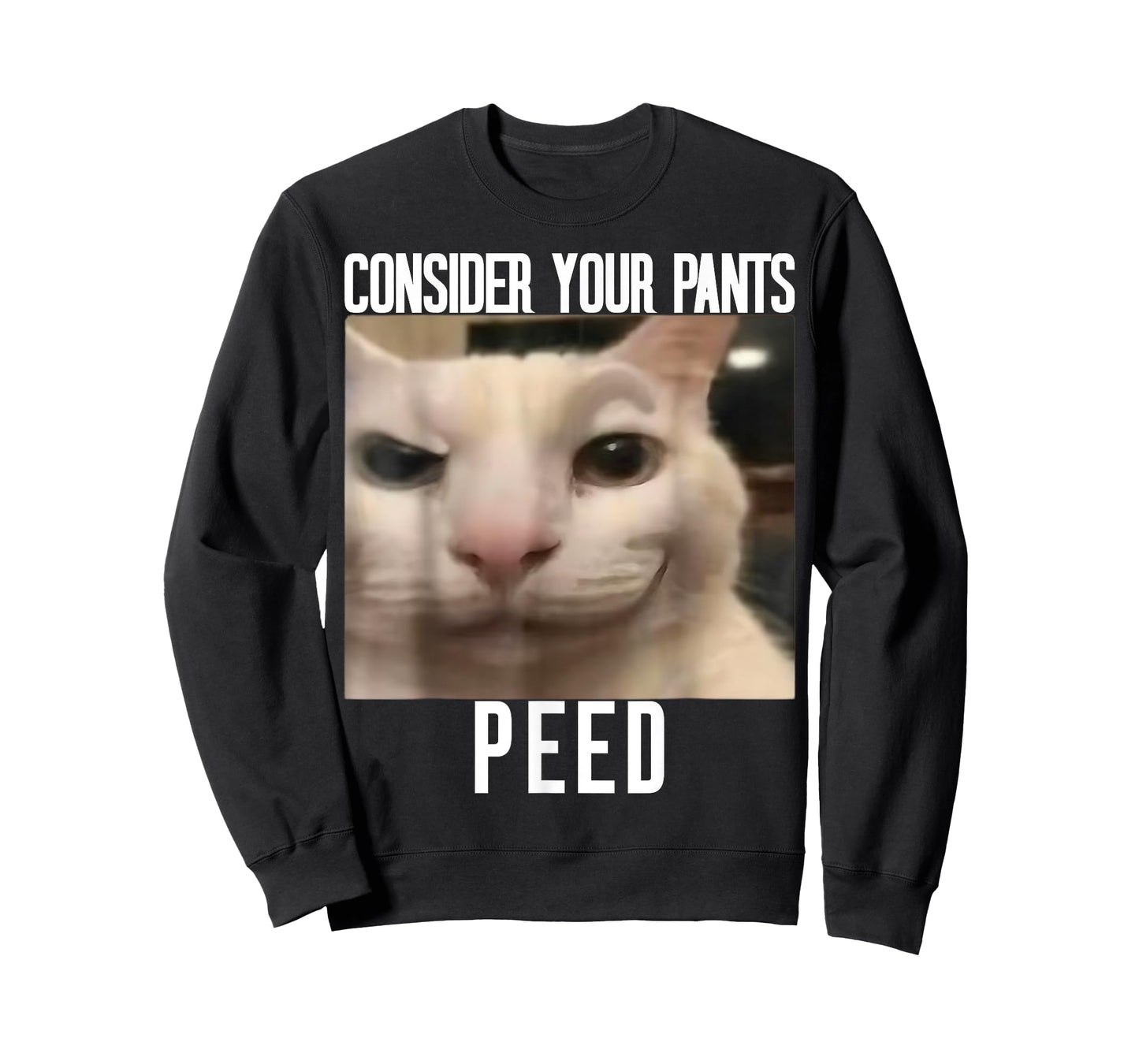 Consider Your Pants Peed Weird Cat Meme Funny Memes Brainrot T-Shirt
