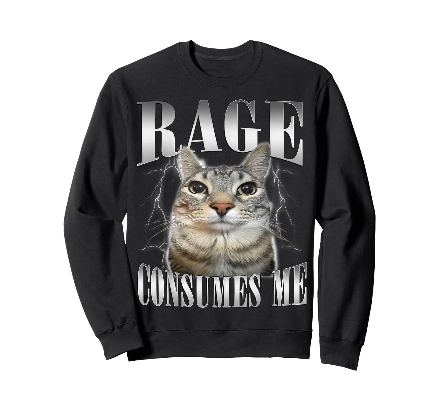 Rage Consumes Me Funny Cat Oddly Specific Cat Meme Men Women T-Shirt