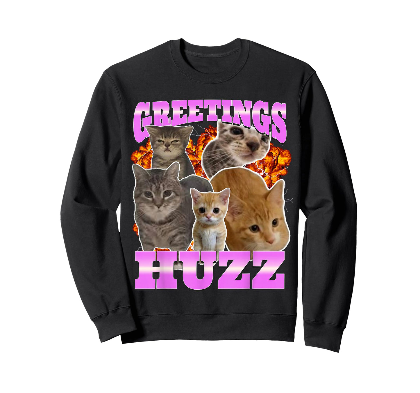Greetings Huzz Cat Meme Funny Bootleg Graphic T-Shirt