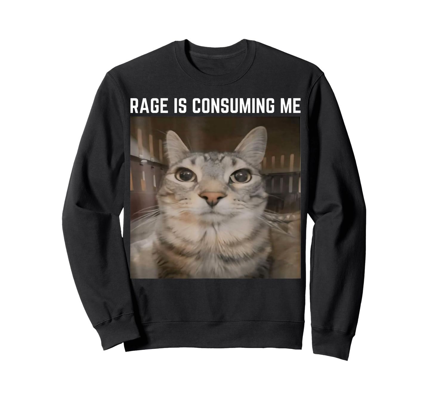Rage is Consuming Me Meme Cat Meme Oddly Specific Memes Joke T-Shirt