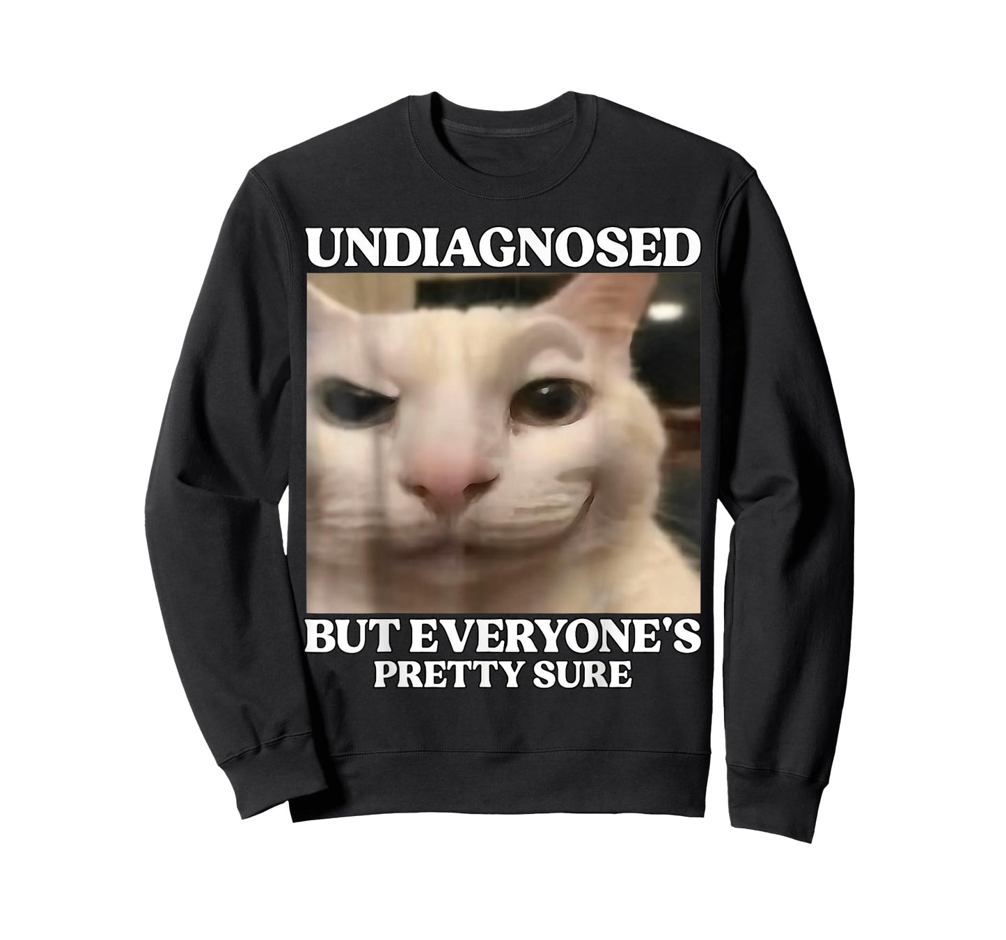Undiagnosed But Everyone's Pretty Sure Funny Silly Cat Meme T-Shirt