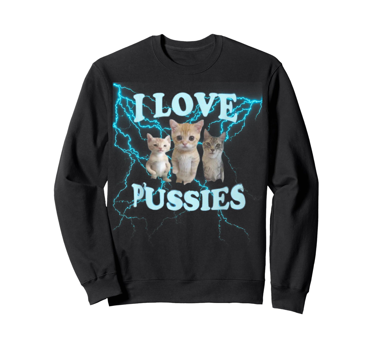 I Love Pussy Cats, Funny Adult Inappropriate Pussy T-Shirt