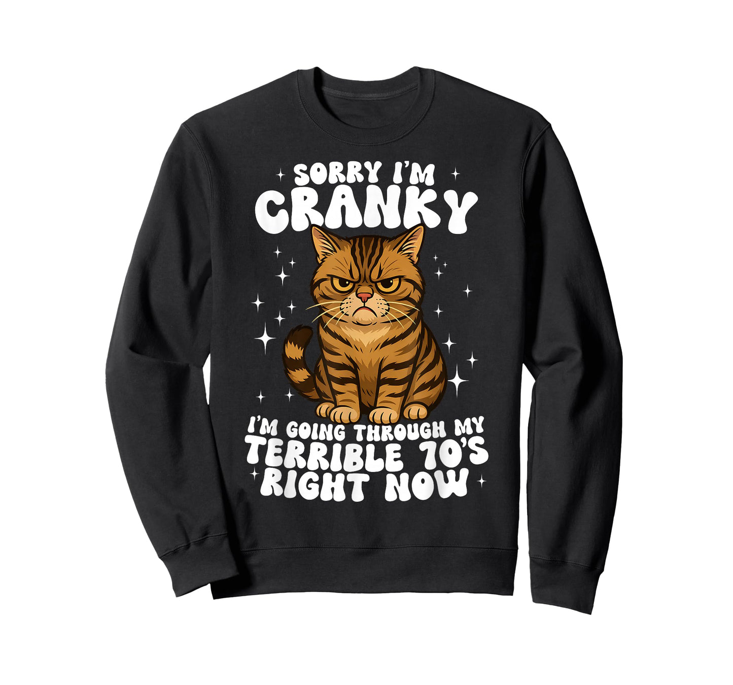 Sorry I'm Cranky I'm Going Through My Terrible 70's Cat T-Shirt