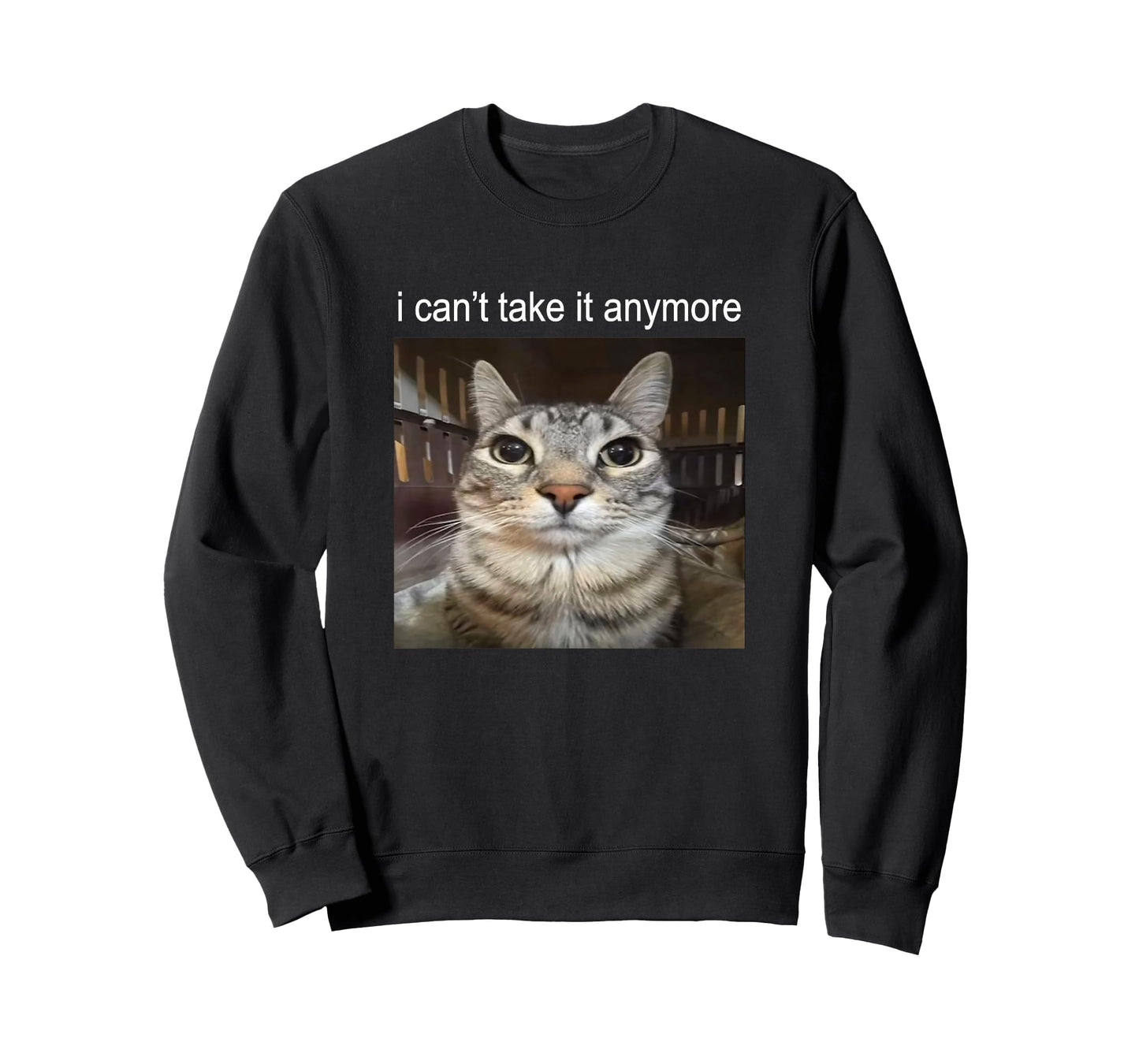 Silly Staring Cat I Can't Take It Anymore Meme T-Shirt