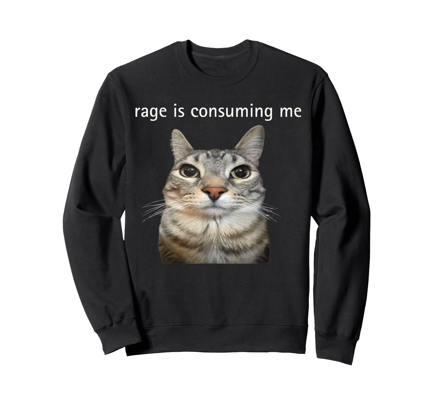 Rage Is Consuming Me Silly Staring Cat Meme Dad Mom T-Shirt