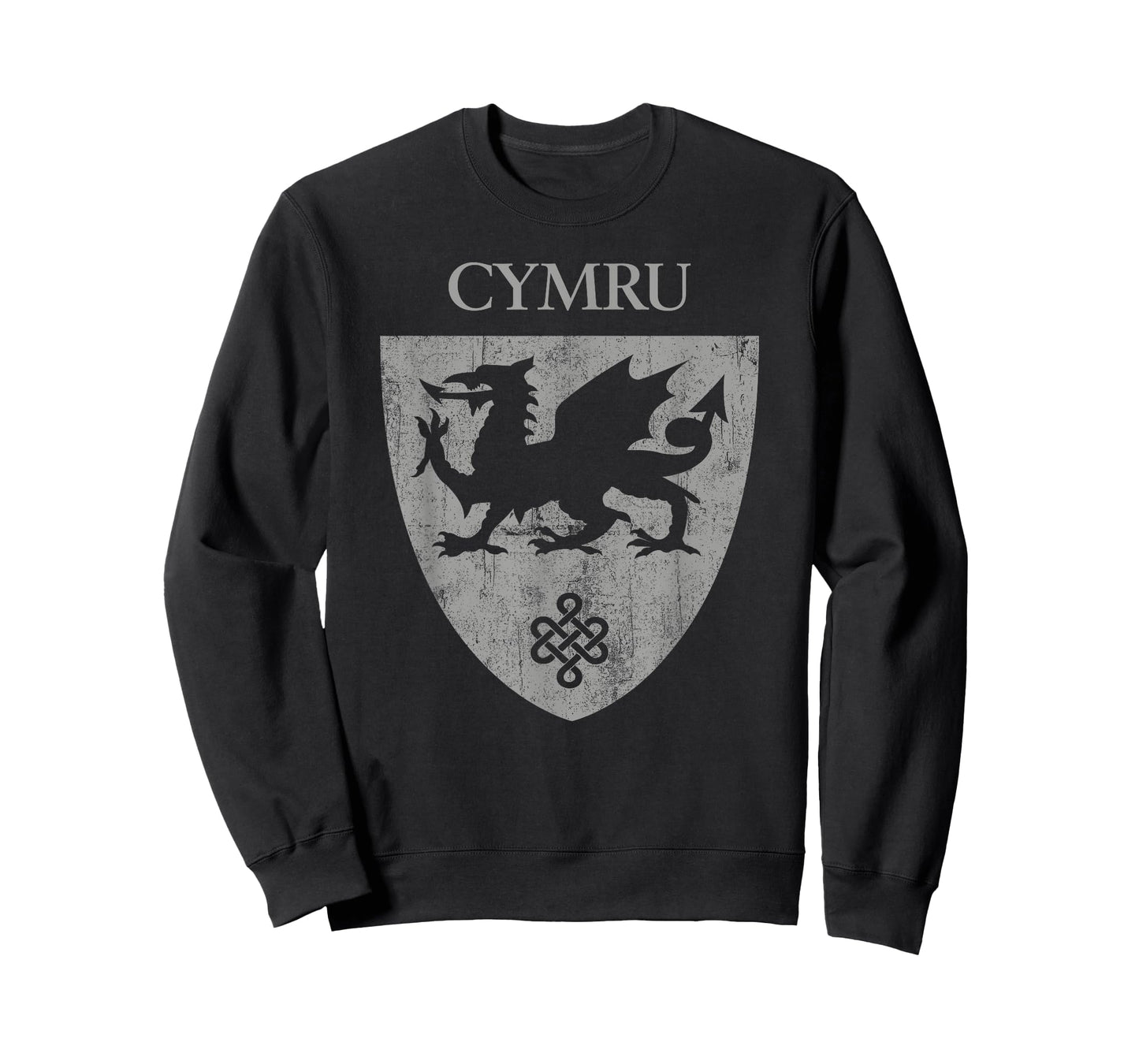 Cymru Welsh Flag Heraldry Dragon Wales pride St David's day T-Shirt