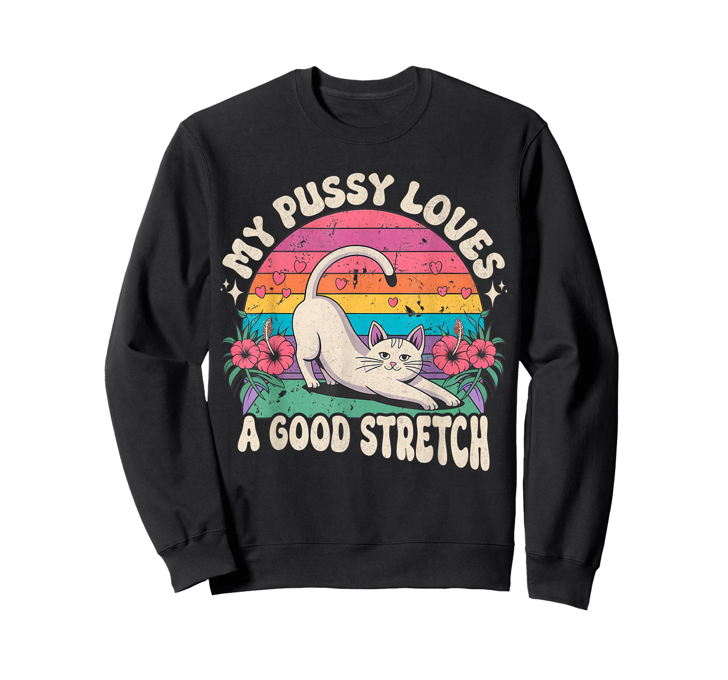 My Pussy Loves A Good Stretch Inappropriate Adult Humor Cat T-Shirt