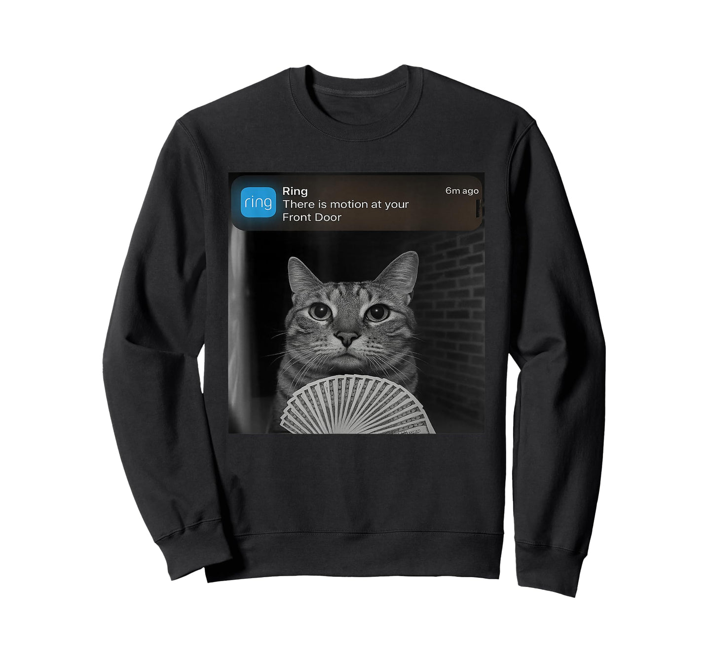 Ring There is Motion at Your Front Door Funny cat Meme T-Shirt