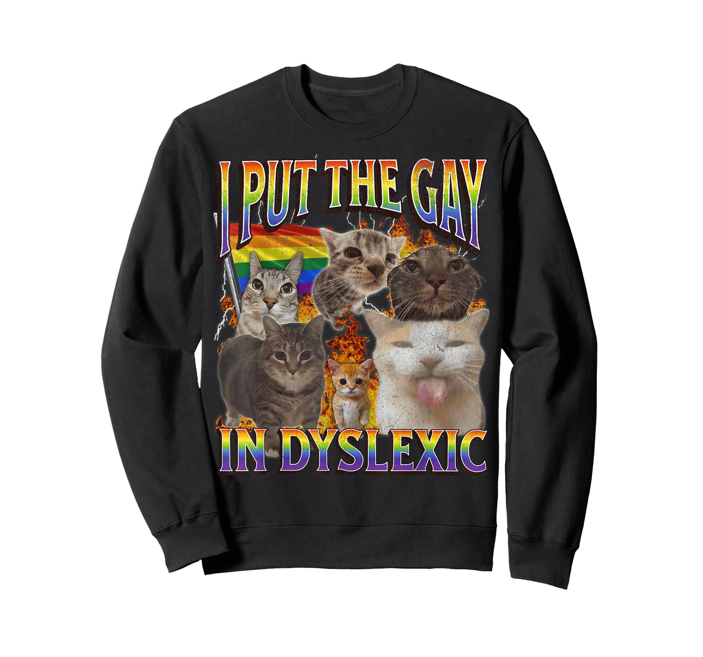 I Put The Gay In Dyslexic Funny Cat Meme Bootleg Graphic T-Shirt